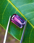 Bicolor watermelon tourmaline