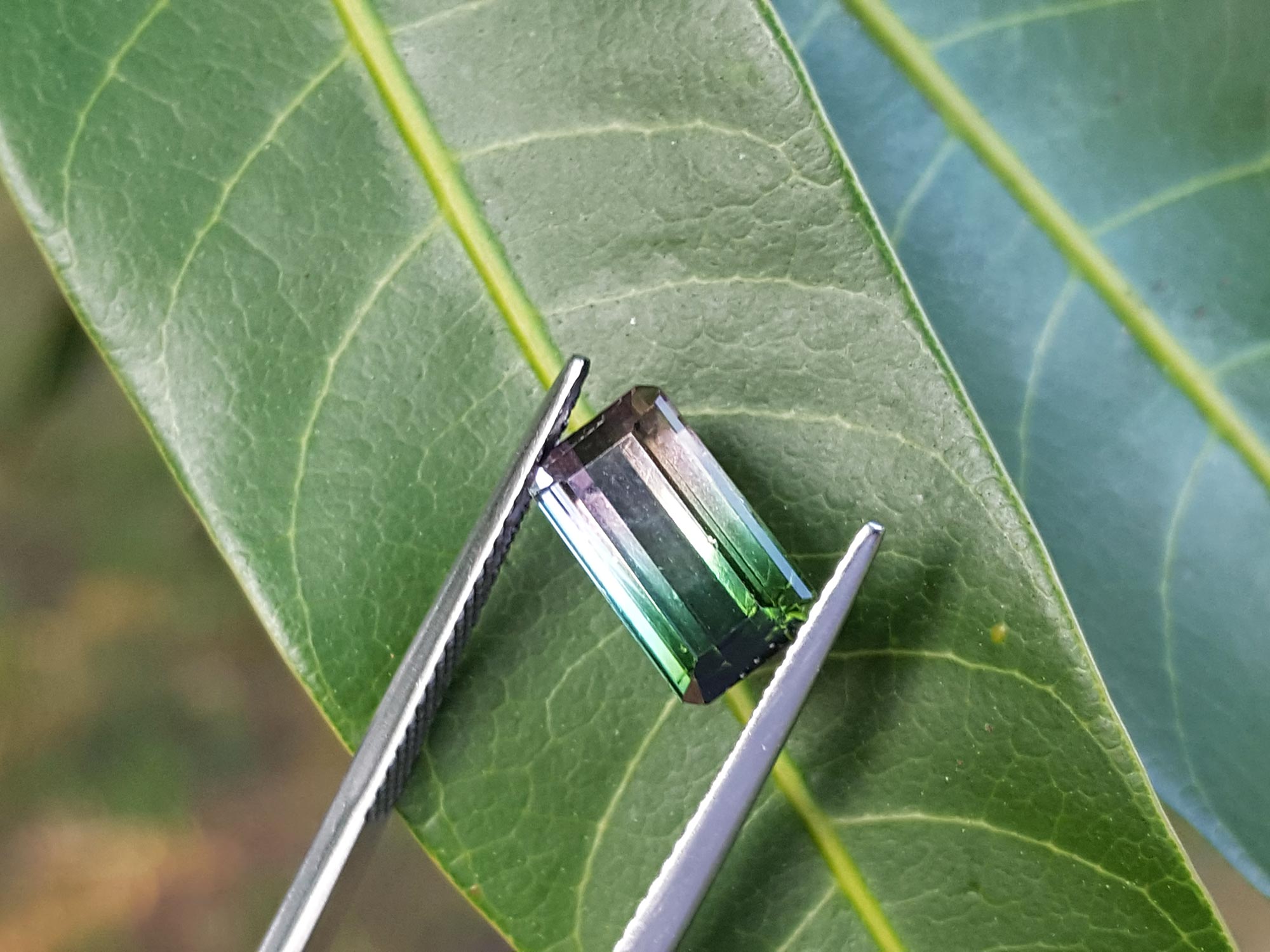 Green/pink watermelon tourmaline