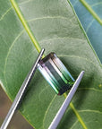 Green/pink watermelon tourmaline