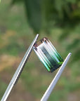 Brazilian watermelon tourmaline