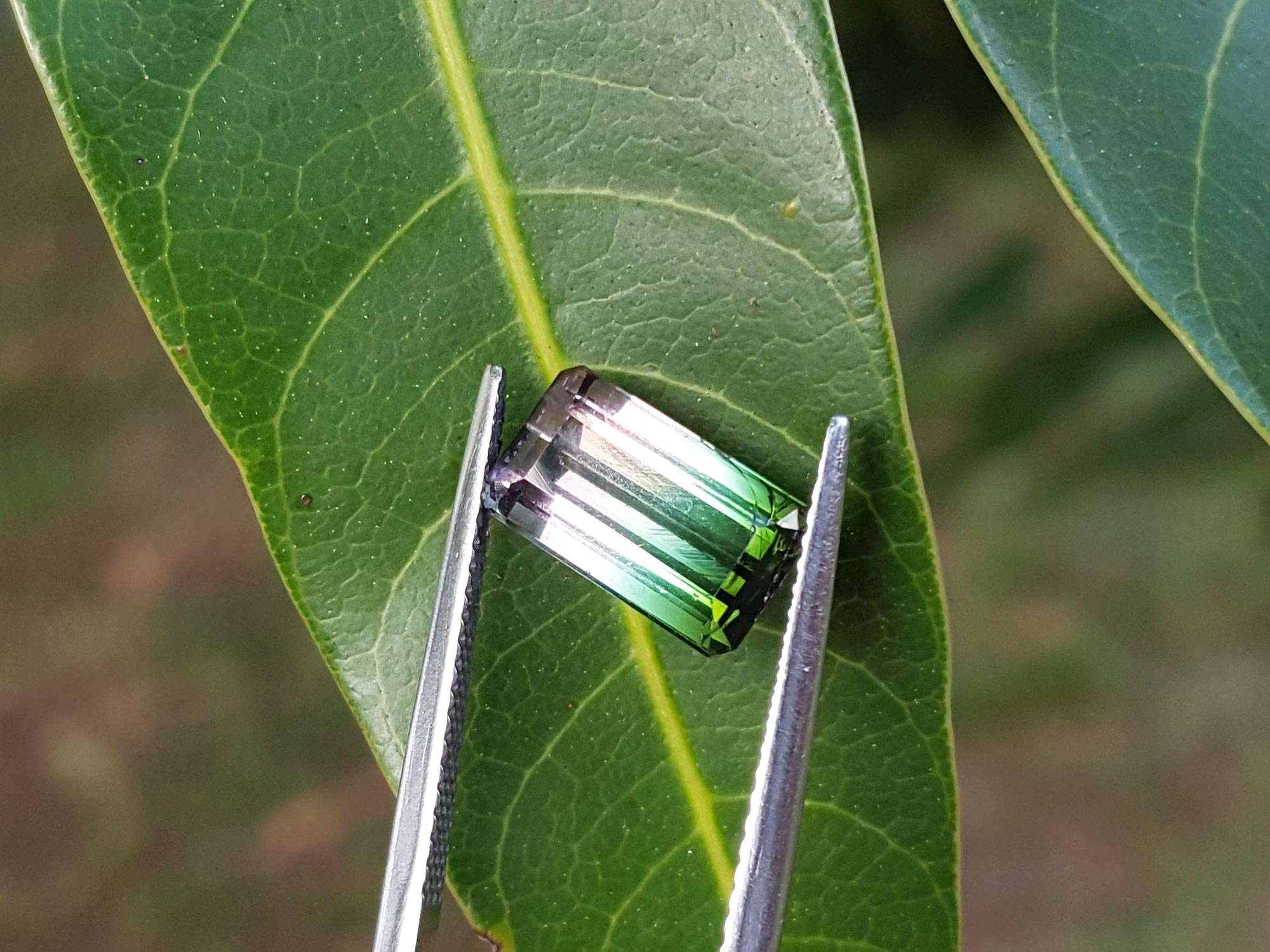 watermelon tourmaline from Brazil