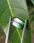 watermelon tourmaline from Brazil