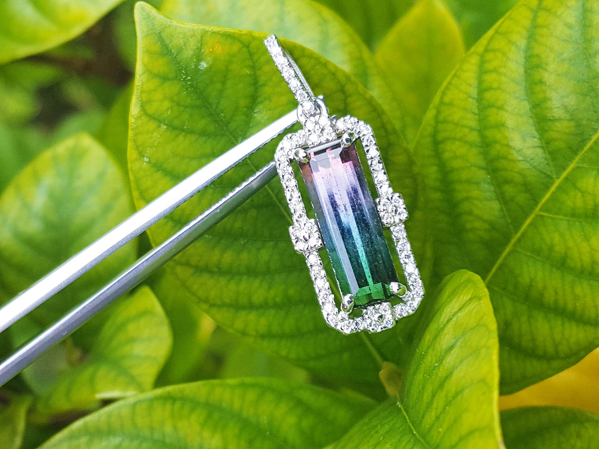 Natural Watermelon tourmaline pendant