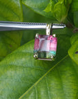 Bicolor watermelon tourmaline pendant