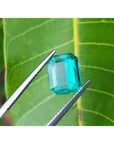 2.95 carat emerald-cut Colombian emerald with vibrant medium green color, held by tweezers against a green leaf.