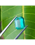 2.95 carat emerald-cut Colombian emerald with vibrant medium green color, held by tweezers against a green leaf.