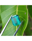 2.95 carat emerald-cut loose Colombian emerald with vibrant medium green color, held by tweezers against a green leaf.