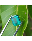 2.95 carat emerald-cut loose Colombian emerald with vibrant medium green color, held by tweezers against a green leaf.
