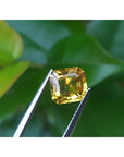 2.90 ct. natural Asscher cut loose yellow sapphire gemstone held by tweezers.