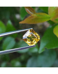 2.90 ct. Asscher cut natural yellow sapphire gemstone held by tweezers, with green foliage background.