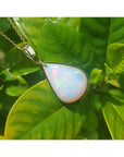 Opal pendant on a gold chain against a green leaf background.