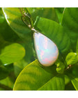 Opal pendant on a gold chain against a green leafy background.