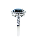 18K white gold ring with a large oval bluish-green Australian sapphire haloed by diamonds.