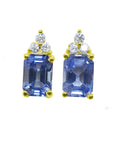 Pair of earrings with blue gemstones and gold accents on a white background