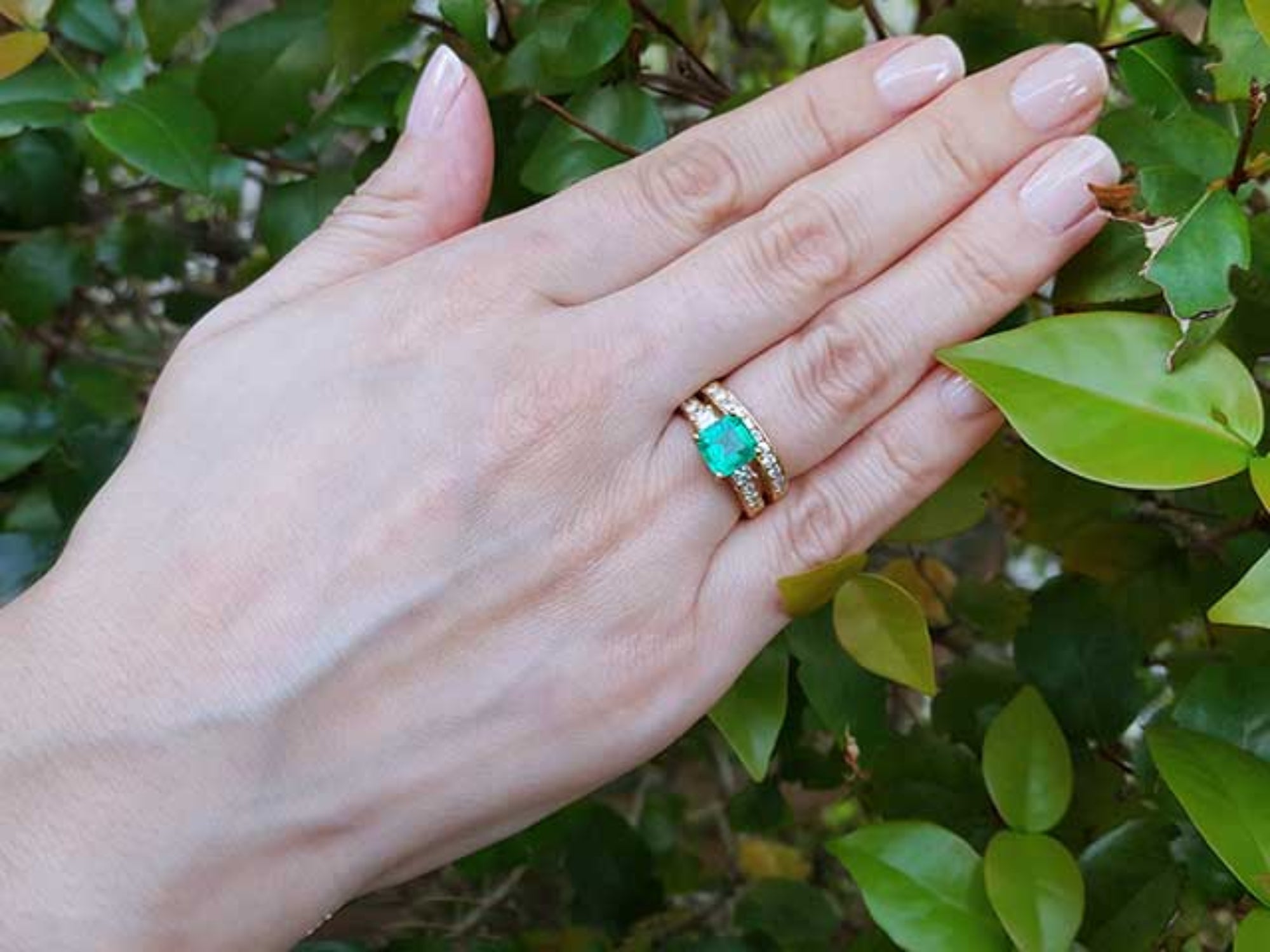 Hand wearing a ring with an emerald stone with matching wedding band against a green leafy background.
