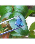 3.71 ct. pear-cut untreated natural blue sapphire held by tweezers against green leaves.