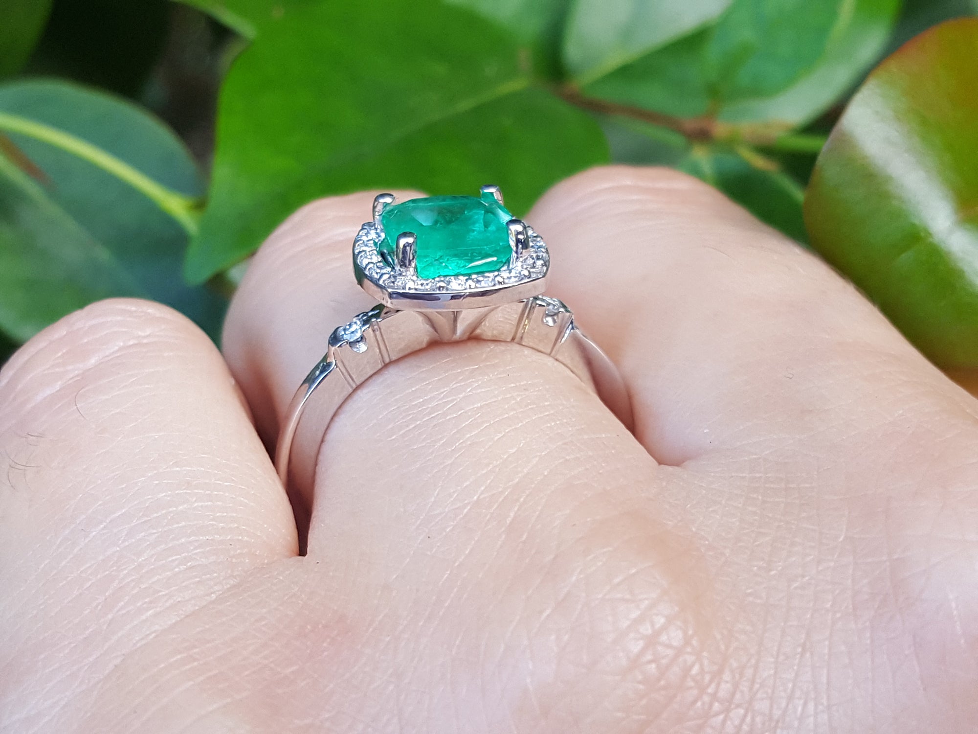 On top of a finger wearing a white gold cushion cut emerald ring on a leafy background.