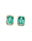 Pair of natural emerald stud earrings halo diamond on a front position, plain top view.