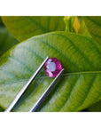 1.18 carat natural cushion-cut ruby gemstone with vibrant red hue, held by tweezers over green leaves.