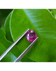 Cushion cut loose natural ruby 1.18 carats Mozambique, front side table and crown visibles tweezers holding over three leaves