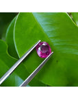 1.18 carat loose natural cushion cut ruby gemstone with vibrant red hue, held by tweezers against green leaves.