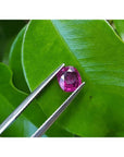 1.18 carat loose natural cushion cut ruby gemstone with vibrant red hue, held by tweezers against green leaves.