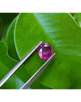1.18 carat loose natural cushion cut ruby gemstone with vibrant red hue, held by tweezers against green leaves.