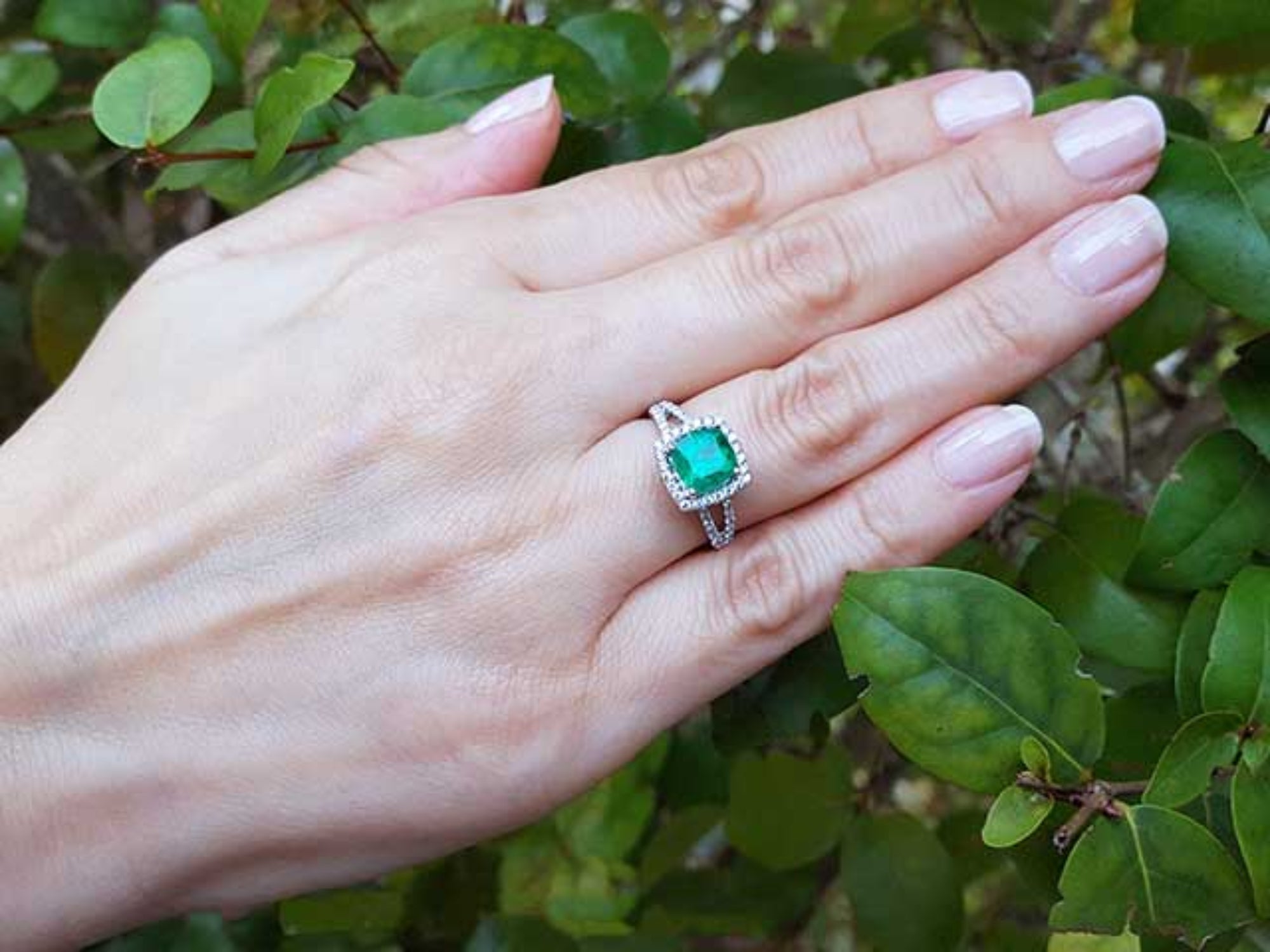 Hand wearing an emerald ring with a green leafy background.