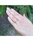 Round cut three-stone diamond engagement ring in 14K white gold on a hand, surrounded by green leaves.