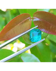 2.95 ct square natural Colombian emerald, bright medium green, held by tweezers against green and red leaves.
