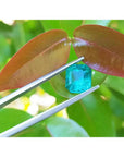 2.95 ct square natural Colombian emerald, bright medium green, held by tweezers against green and red leaves.