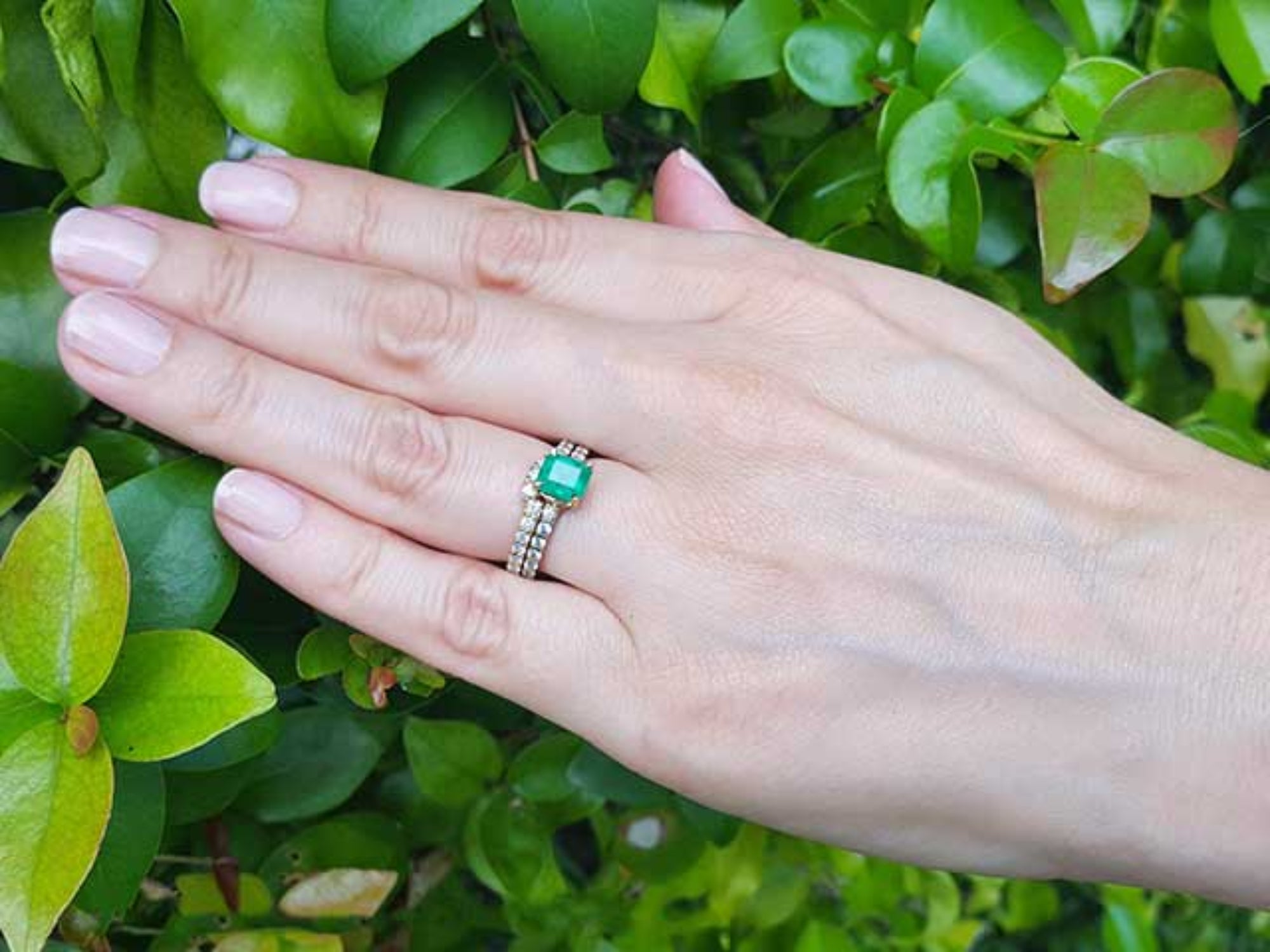Hand wearing a ring with an emerald stone against a green leafy background