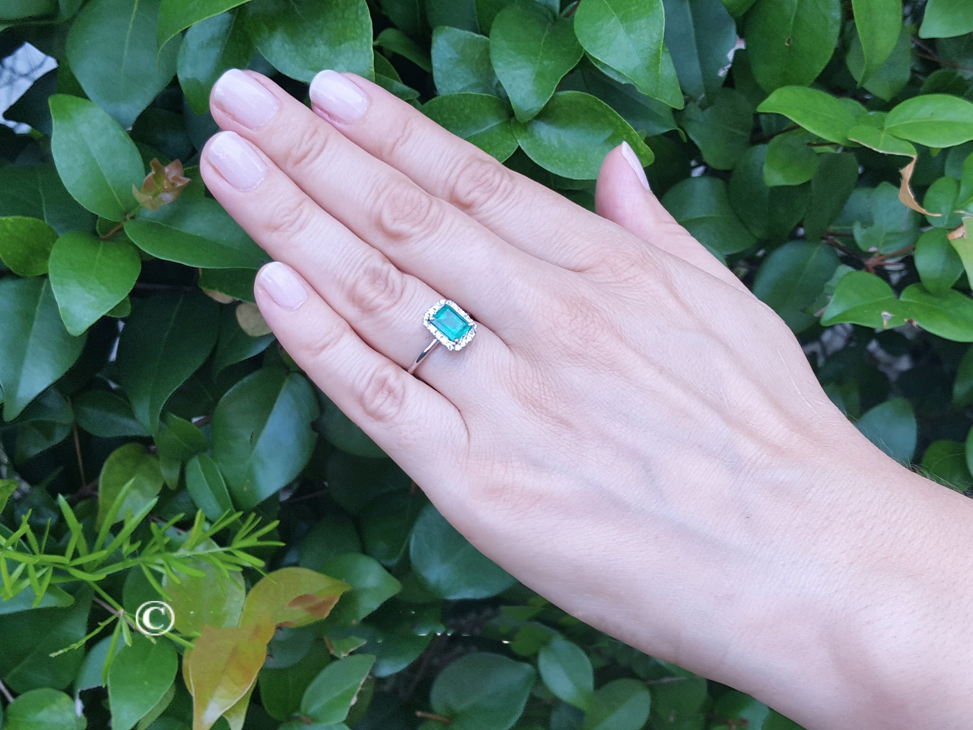 Hand wearing a natural emerald ring against a green leafy background.