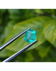 Emerald-cut Muzo Colombian loose emerald, front side table and crown visibles on a blurry forest background