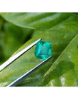 1.55 carat emerald-cut Muzo Colombian loose emerald, held by tweezers on a green leaf.