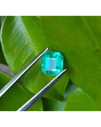 1.55 carat emerald-cut Muzo Colombian loose emerald, sparkling medium bluish green, held by tweezers on a leaf.