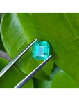 1.55 carat emerald-cut Muzo Colombian loose emerald, sparkling medium bluish green, held by tweezers on a leaf.