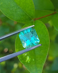 3.60 ct GIA certified loose Colombian emerald, medium bluish green, held by tweezers against green leaves.