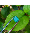 1.57 carat emerald-cut Muzo Colombian emerald, medium bluish-green, held by tweezers on a green leaf.