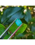 Sparkling 1.57 carat emerald-cut Muzo Colombian emerald held by tweezers against green leaves.