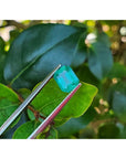 Sparkling 1.57 carat emerald-cut Muzo Colombian emerald held by tweezers against green leaves.