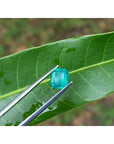 Emerald-cut 1.41 carat natural loose Colombian emerald, medium deep bluish green, held by tweezers on a green leaf.