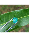 Emerald-cut 1.41 carat natural loose Colombian emerald, medium deep bluish green, held by tweezers on a green leaf.