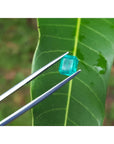 Emerald-cut 1.41 carat natural loose Colombian emerald, medium deep bluish green, held by tweezers over a leaf.