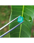 Emerald-cut 1.41 carat natural loose Colombian emerald, medium deep bluish green, held by tweezers over a leaf.