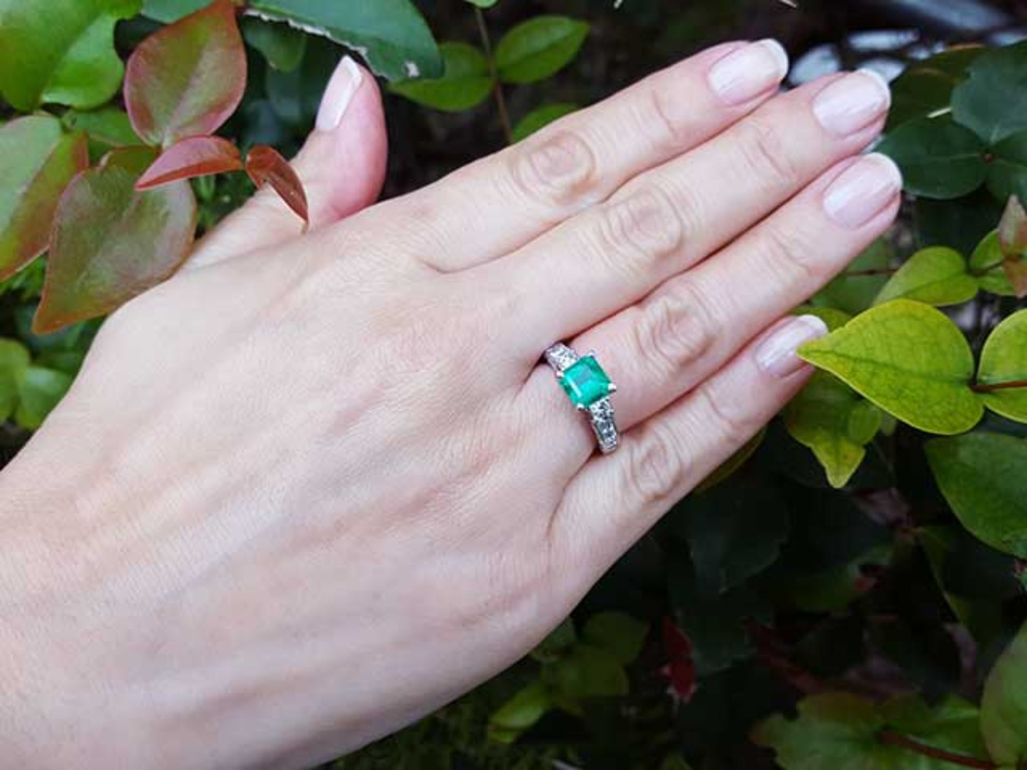 Hand wearing a natural Colombian emerald ring on a green leafy background.