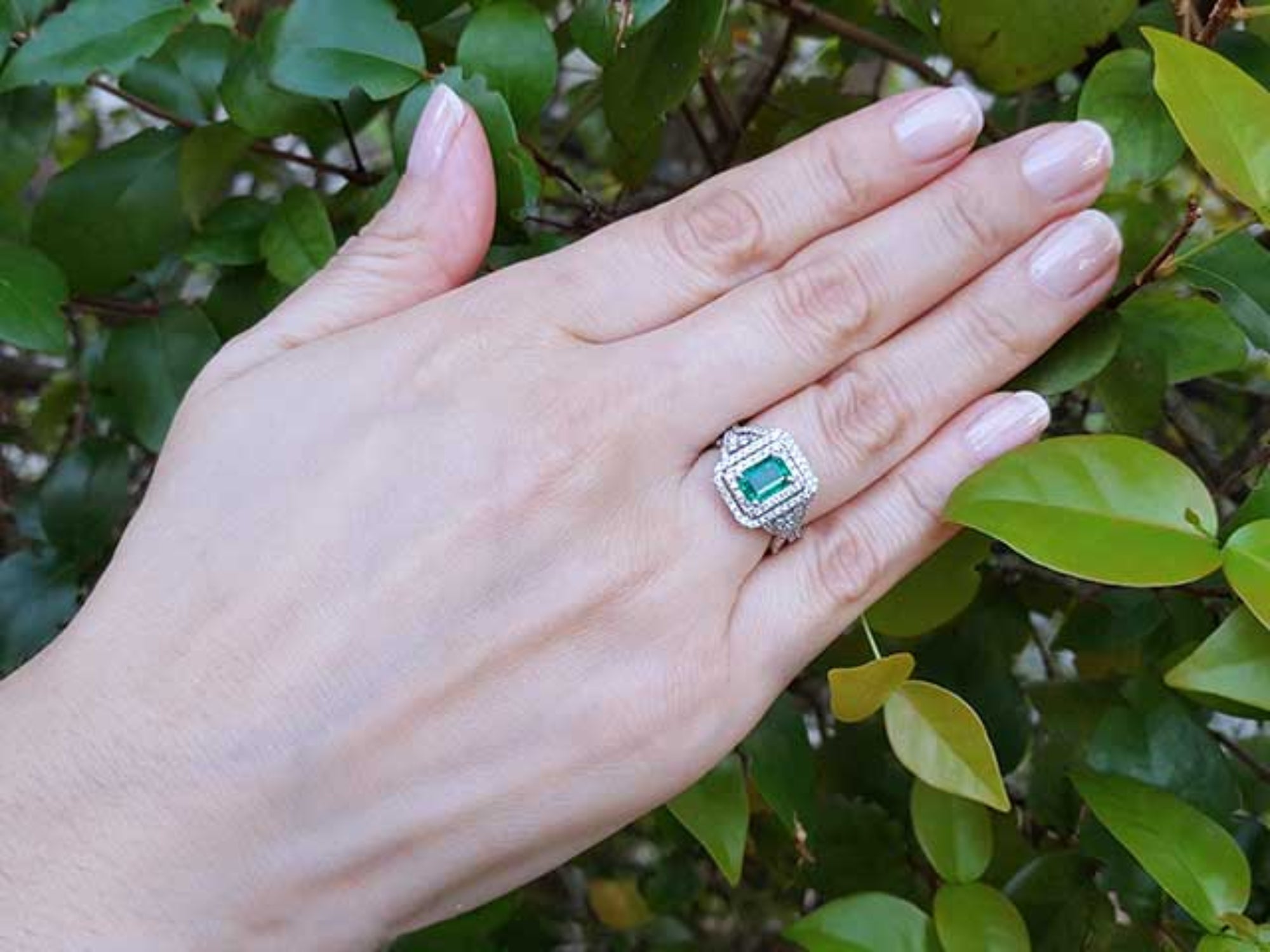 Hand wearing a ring with an emerald stone against a green leafy background.