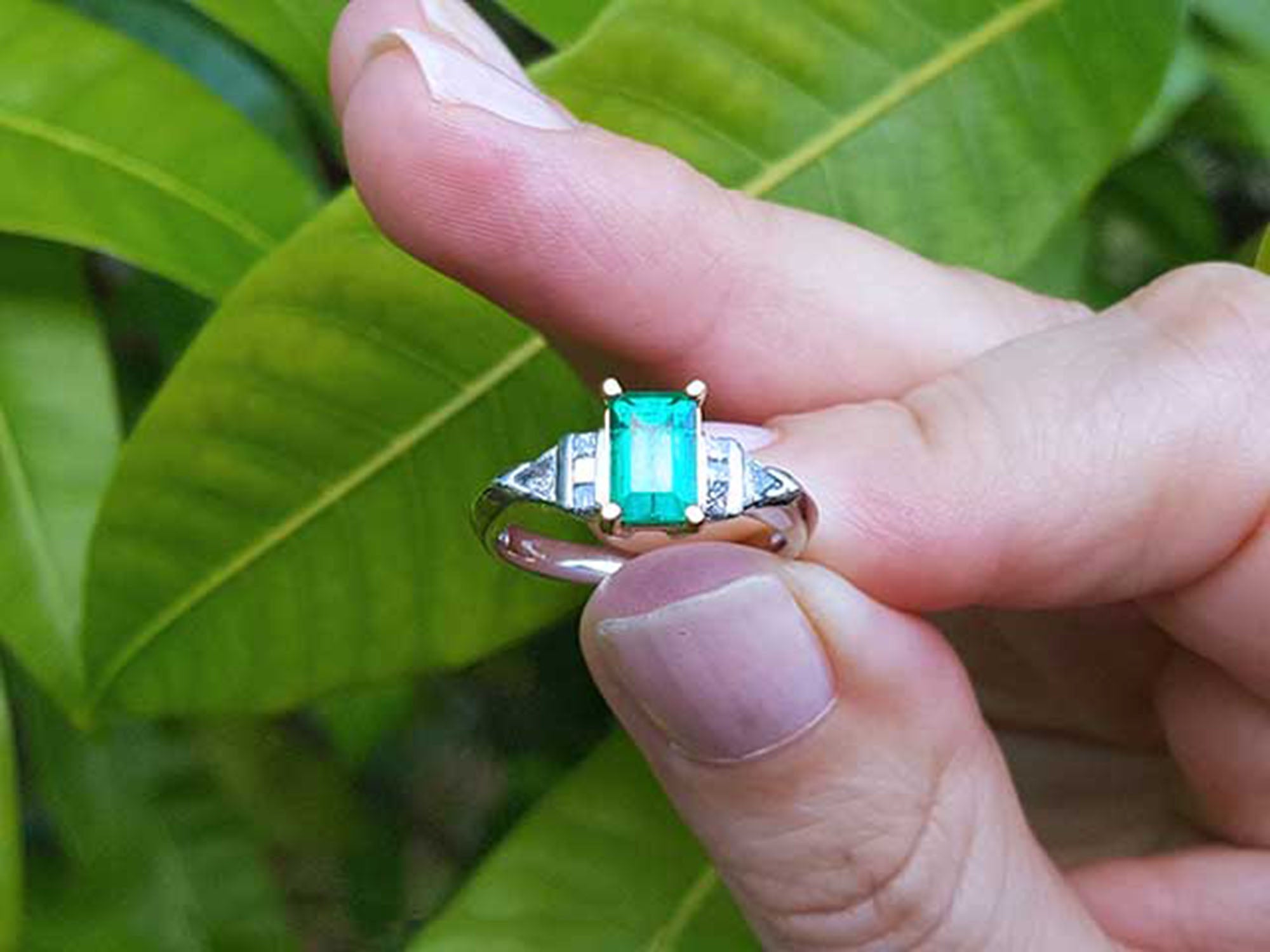 A platinum emerald ring being held between fingers against a leafy background.