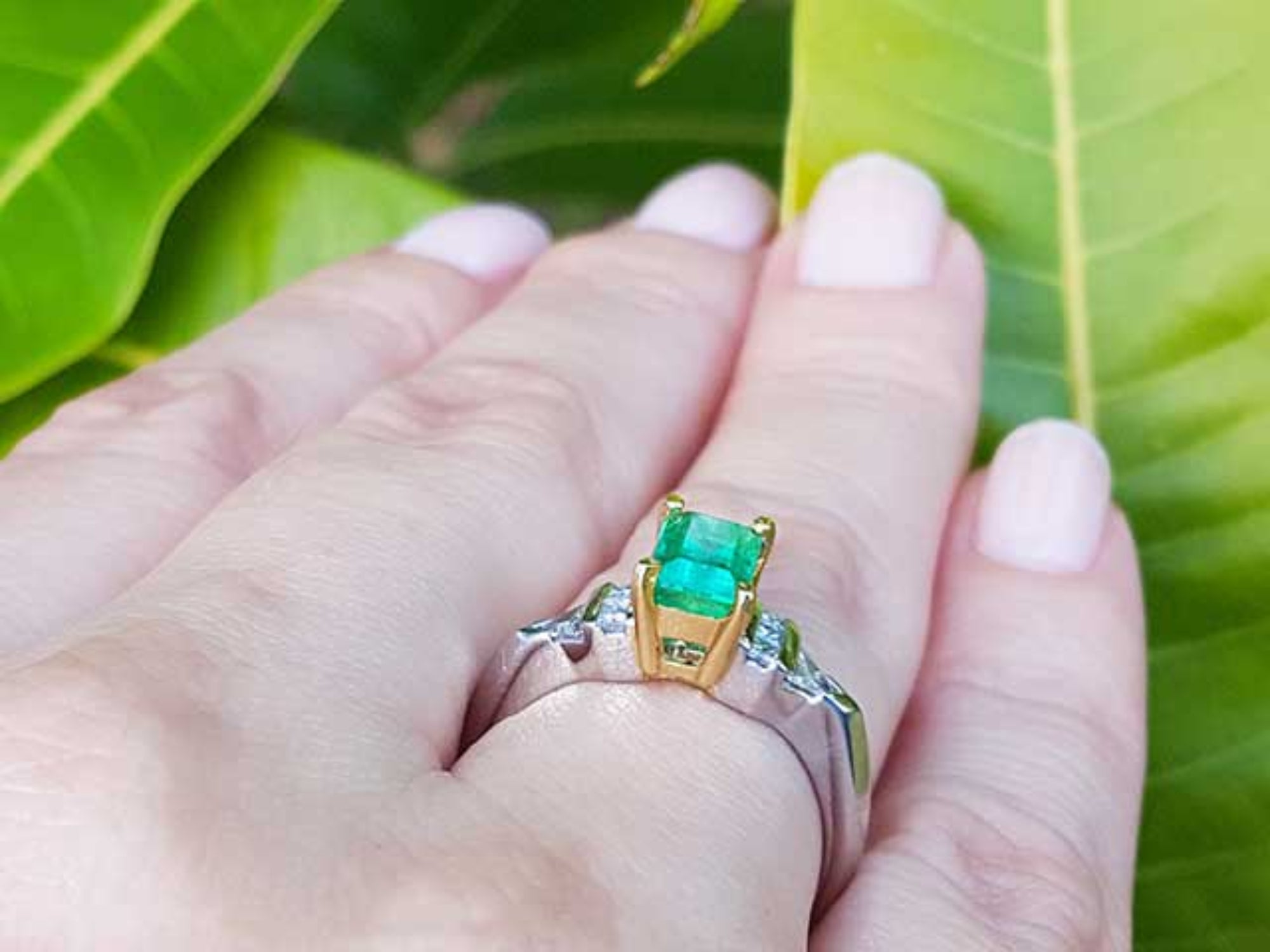 Gold and platinum ring with a natural emerald on a hand against a green leafy background.