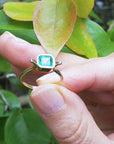 A solitaire emerald ring held between fingers against a leafy background